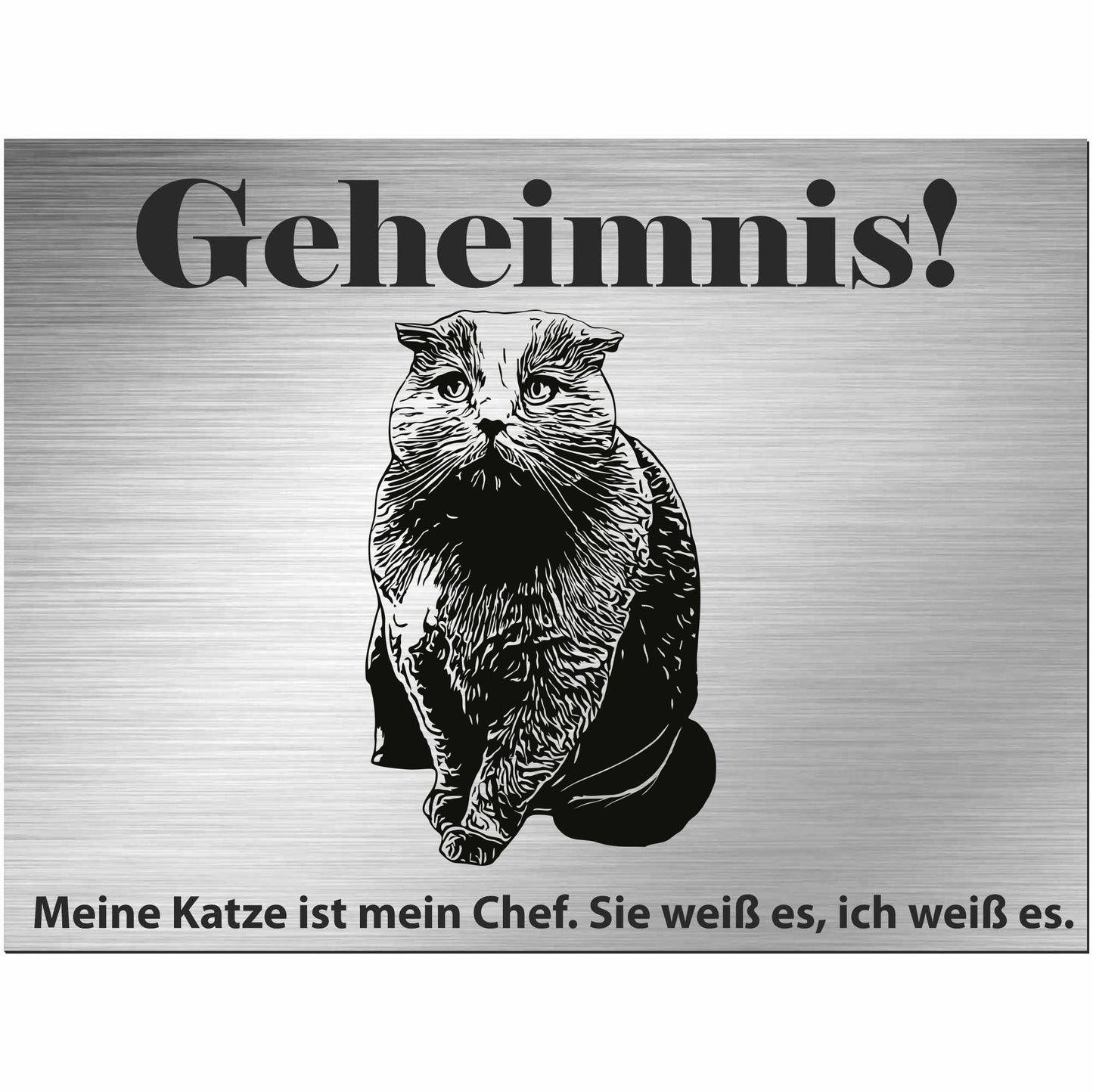 Schottische Faltohrkatze Faltkatze  - Schild bedruckt - Spruch - Deko Geschenkidee