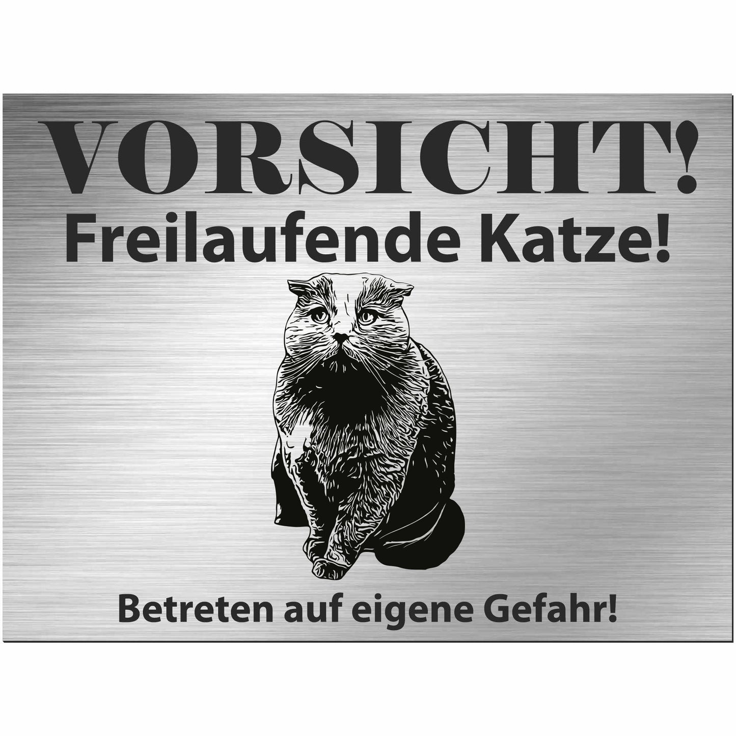 Schottische Faltohrkatze Faltkatze  - Schild bedruckt - Spruch - Deko Geschenkidee