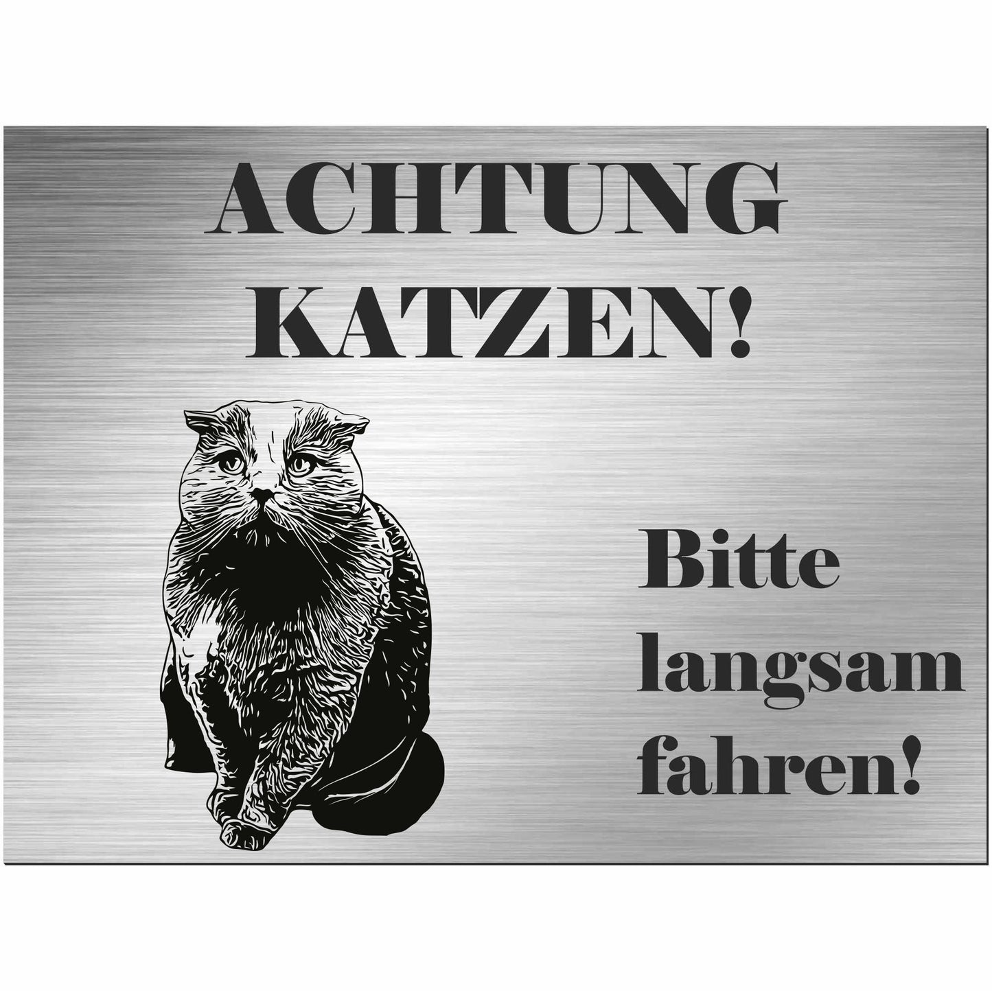 Schottische Faltohrkatze Faltkatze  - Schild bedruckt - Spruch - Deko Geschenkidee