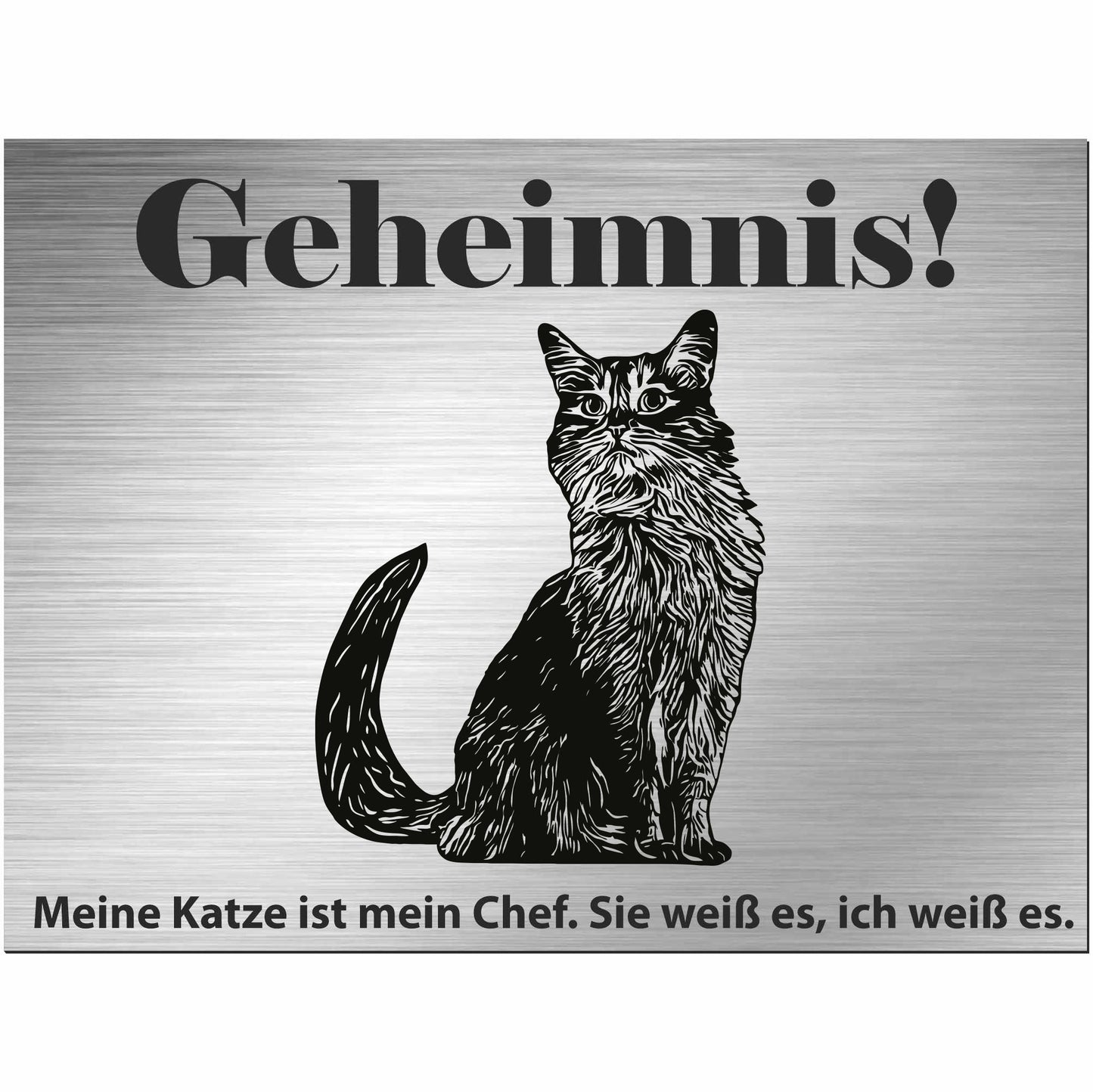 Somalische Katze  - Schild bedruckt - Spruch - Deko Geschenkidee