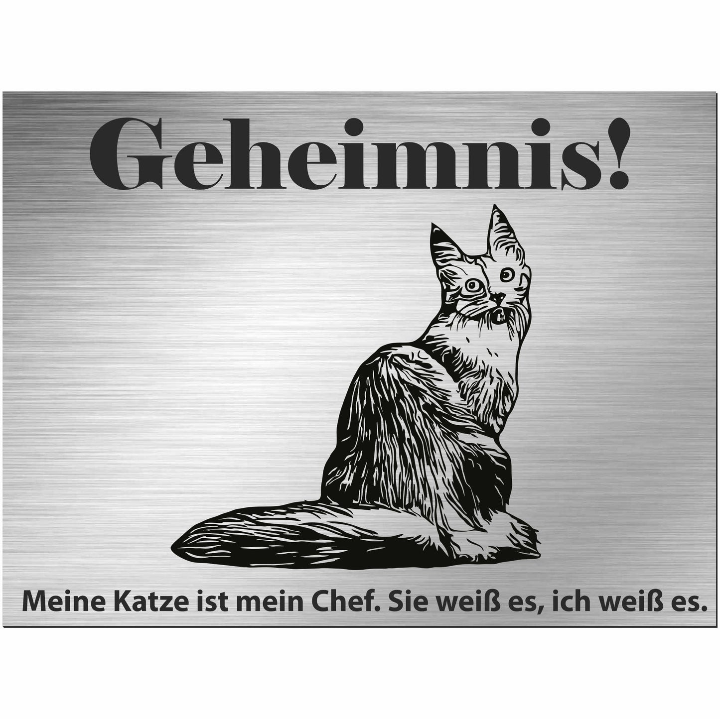 Türkische Angora Katze  - Schild bedruckt - Spruch - Deko Geschenkidee