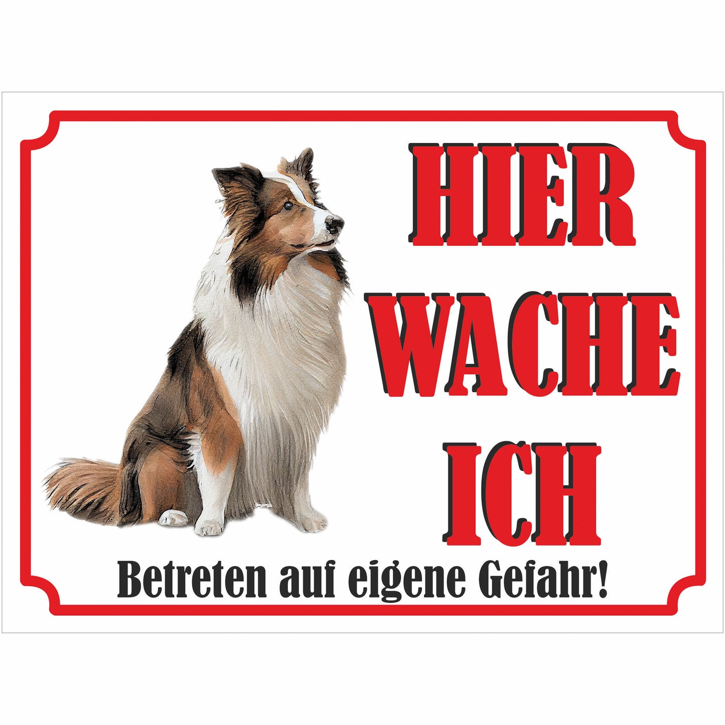 Shetland Schäferhund - Schild bedruckt - Hier wache ich - Aluverbundplatte Edelstahl Look