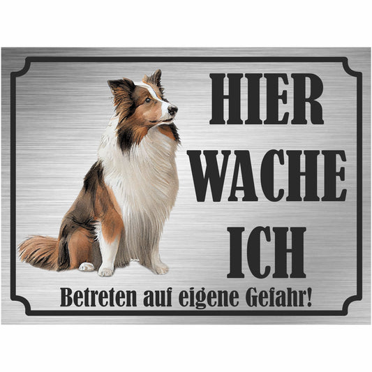 Shetland Schäferhund - Schild bedruckt - Hier wache ich - Aluverbundplatte Edelstahl Look